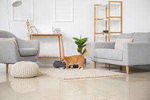 How to Choose Furniture if Youre a Pet Owner